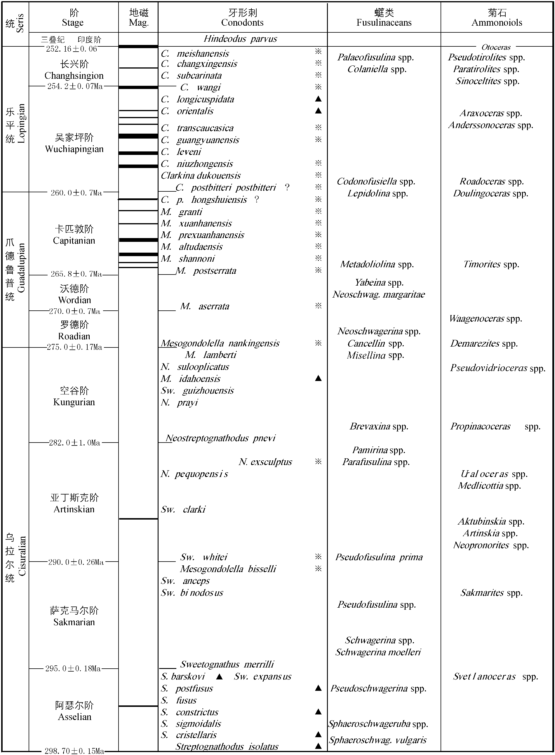 三、中國二疊紀(jì)牙形刺研究的簡史與牙形刺生物帶